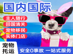 鞍山航空运输国际宠物托运 【国